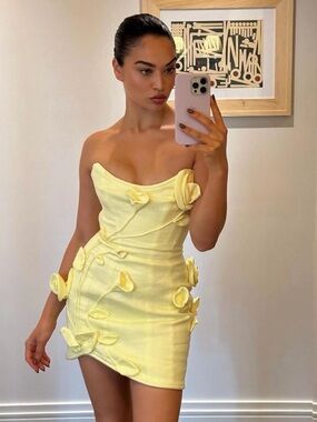 Zimmermann matchmaker rose mini dress